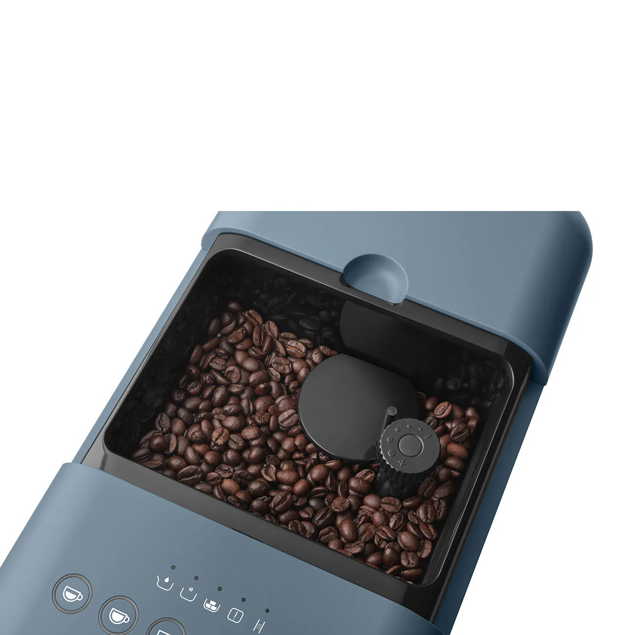 Miniatura 21